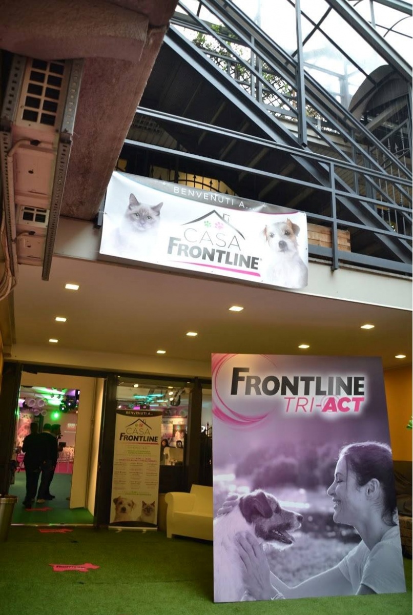 Smart Eventi: evento promozionale per Frontline - 3