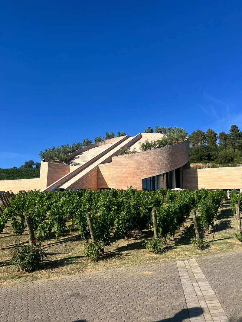 Incentive estivo in Toscana per CBRE con carton boat e visita a una cantina locale - 5