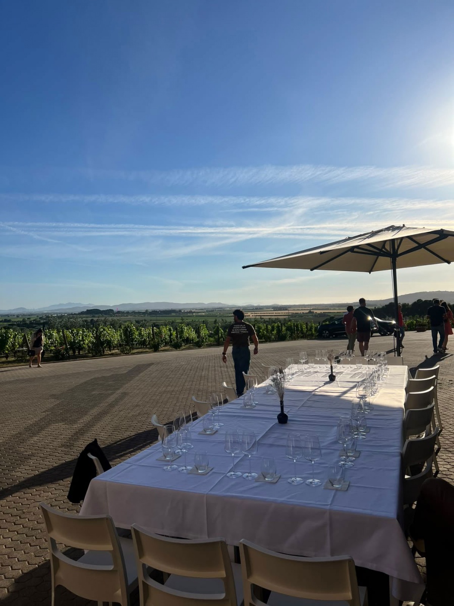 Incentive estivo in Toscana per CBRE con carton boat e visita a una cantina locale - 3