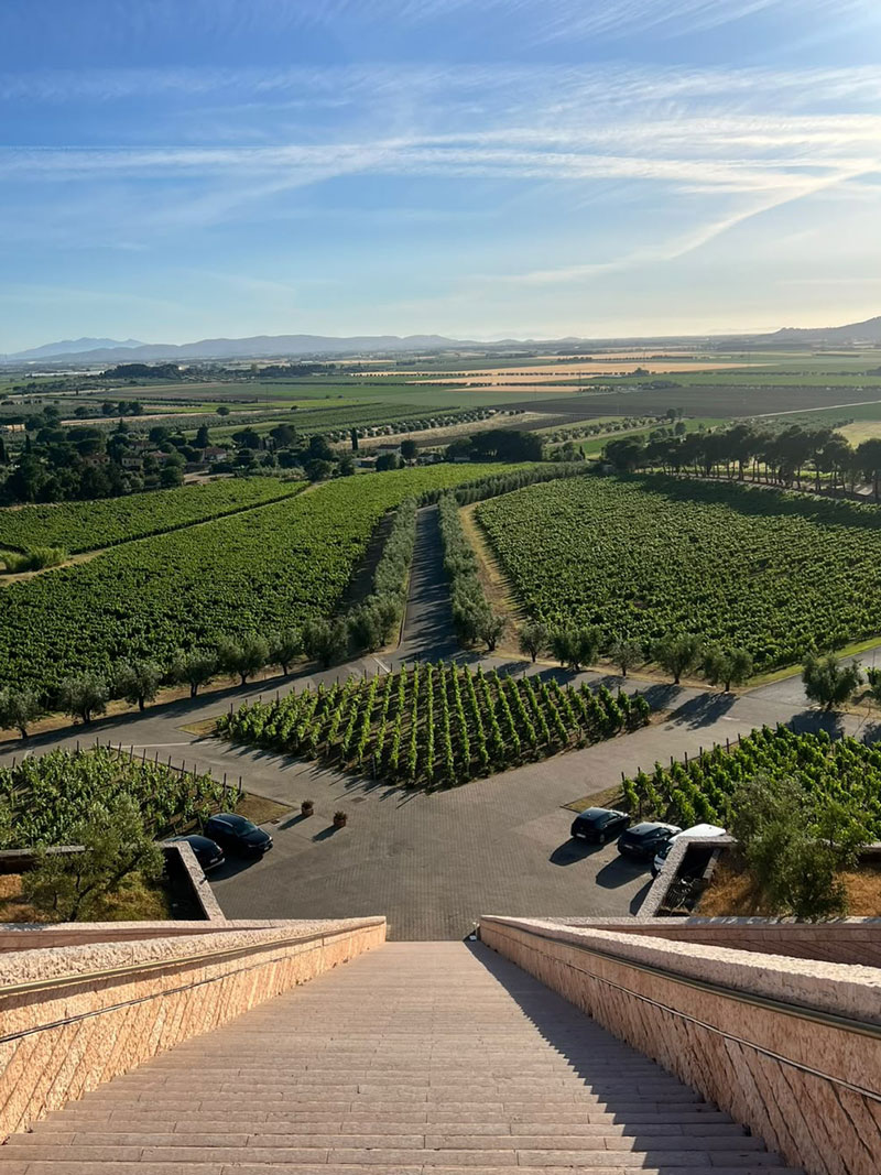 Incentive estivo in Toscana per CBRE con carton boat e visita a una cantina locale - 2