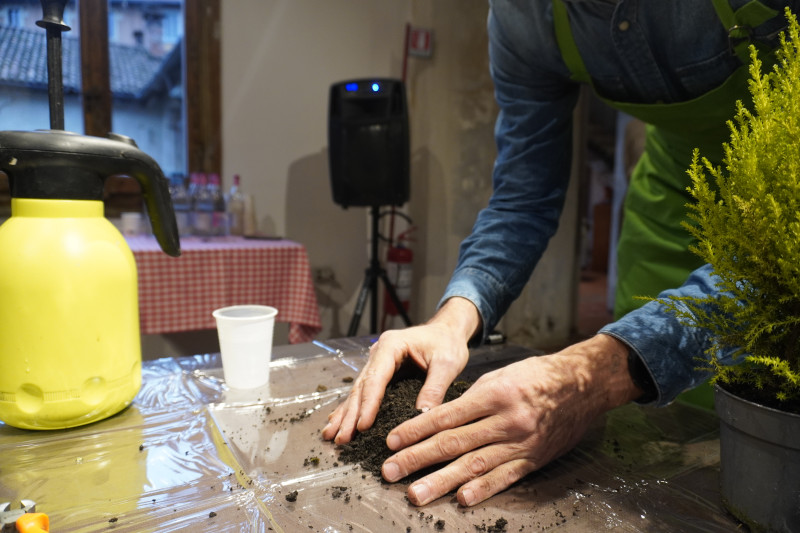 Team building con workshop di Kokedama in una splendida location