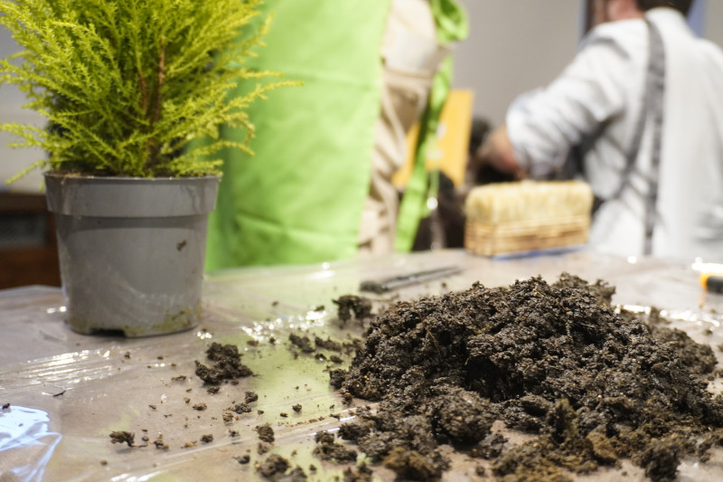 Team building con workshop di Kokedama in una splendida location