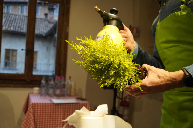 Team building con workshop di Kokedama in una splendida location