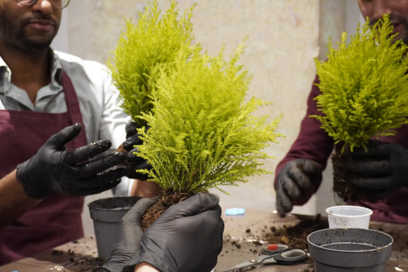 Team building con workshop di Kokedama in una splendida location