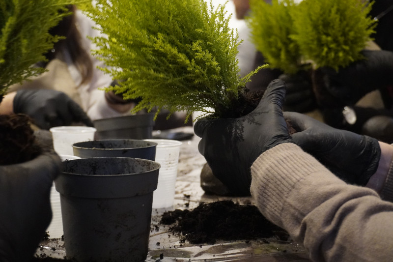 Team building con workshop di Kokedama in una splendida location