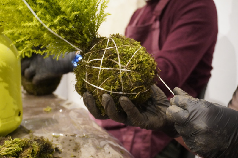 Team building con workshop di Kokedama in una splendida location