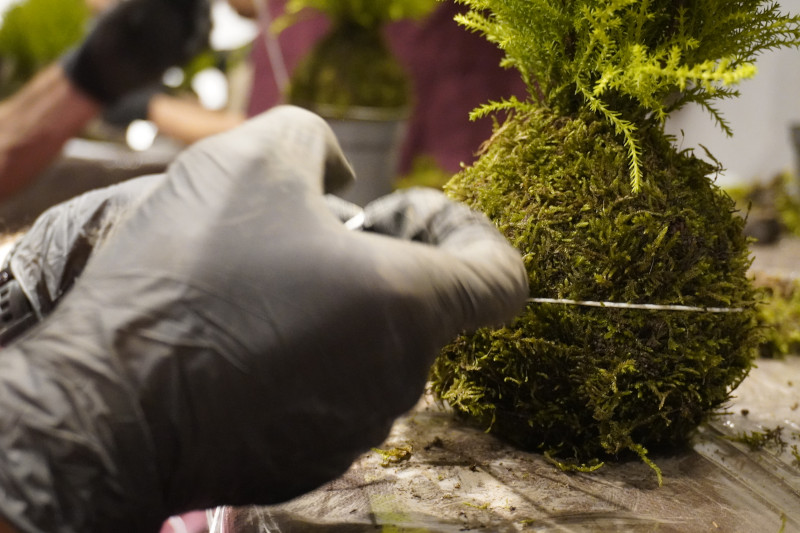 Team building con workshop di Kokedama in una splendida location