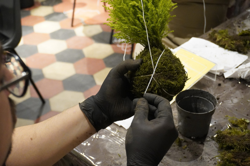 Team building con workshop di Kokedama in una splendida location