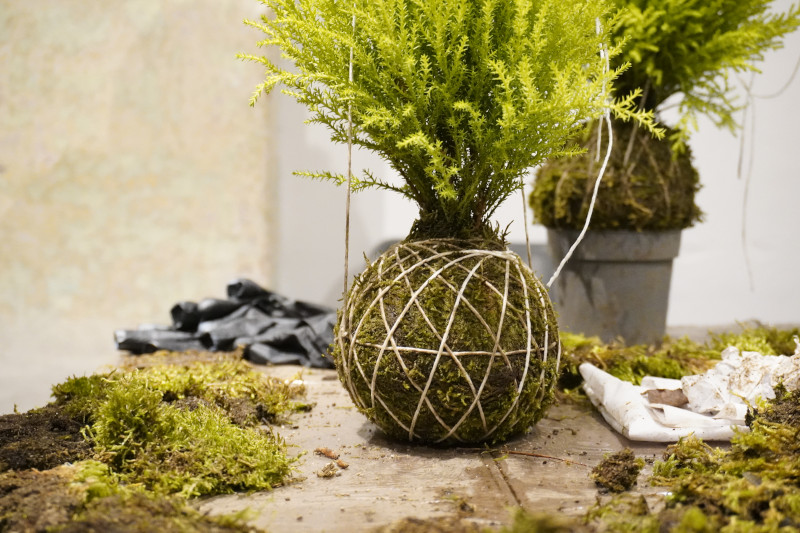 Team building con workshop di Kokedama in una splendida location