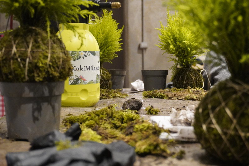 Team building con workshop di Kokedama in una splendida location