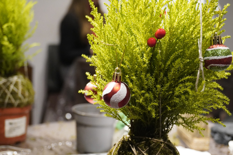 Team building con workshop di Kokedama in una splendida location