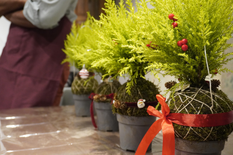 Team building con workshop di Kokedama in una splendida location