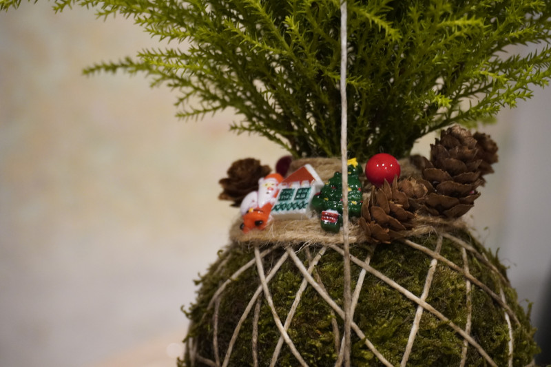 Team building con workshop di Kokedama in una splendida location