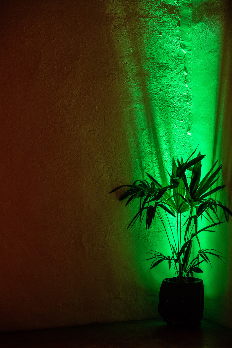 Festa privata 50 anni alle Officine de Rolandi: un evento esclusivo e indimenticabile - 2