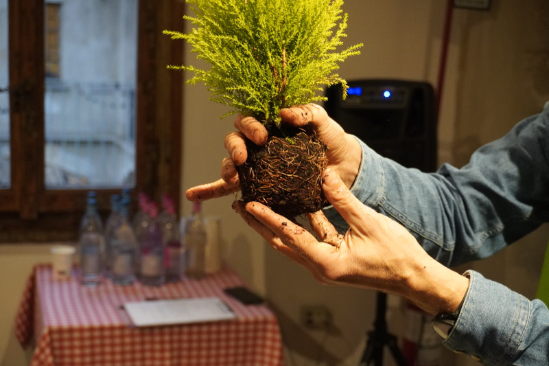 Team building sociale con Kokedama per AKAMAS