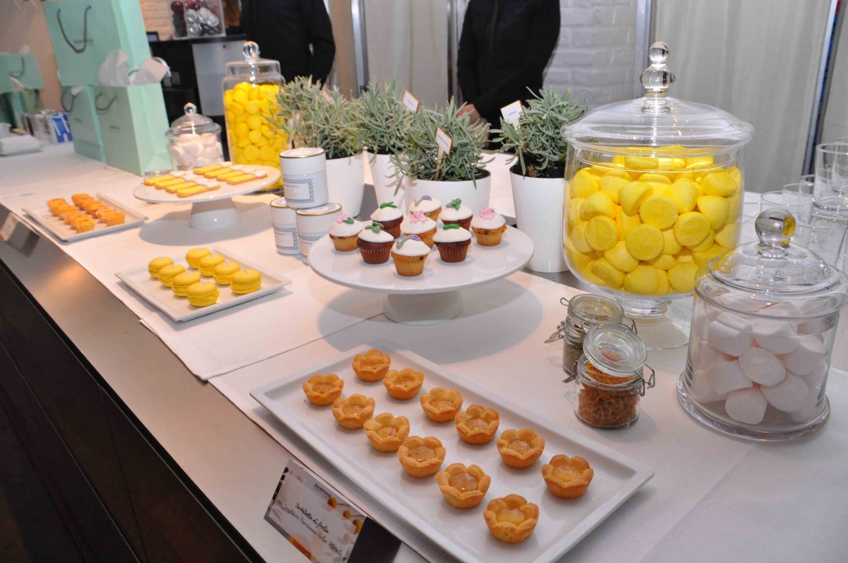 Press day for Darphin for the presentation of a new anti-stress face mask - 4