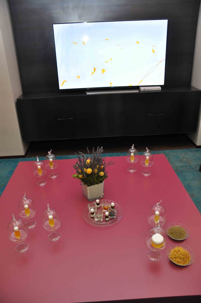 Press day for Darphin for the presentation of a new anti-stress face mask - 17