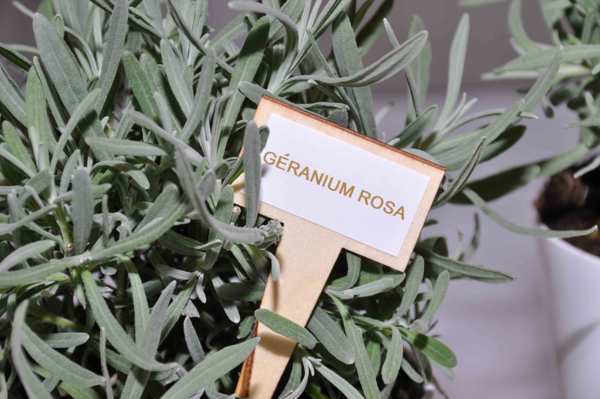 Press day for Darphin for the presentation of a new anti-stress face mask - 24