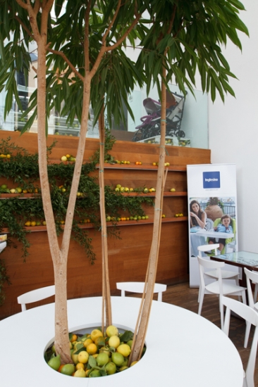 Presentation new Inglesina's products - 3